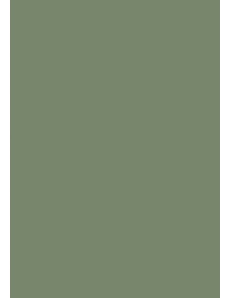 échantillon Calke Green No.34 FARROW&BALL carré couleur calke green