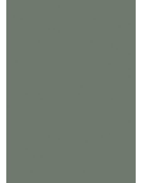 échantillon couleur Green Smoke No.47 farrow and ball carré aplat