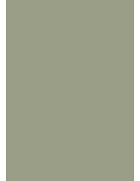 échantillon couleur Lichen No.19 FARROW&BALL carré aplat